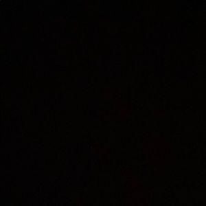 Meet your Posher, Shaun